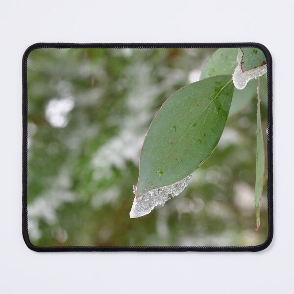 Item preview, Icy Eucalyptus leaf designed and sold by notjustamwac.