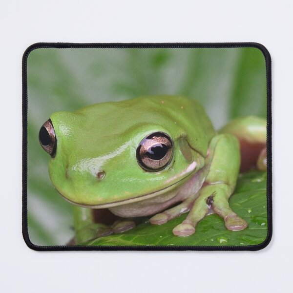 Item preview, Dwarf Tree Frog designed and sold by notjustamwac.