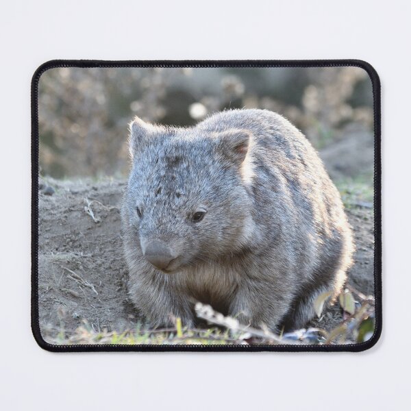 Item preview, Wombat in the sun designed and sold by notjustamwac.