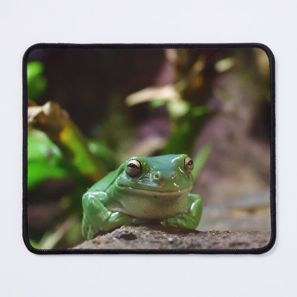 Item preview, Green Tree Frog designed and sold by notjustamwac.