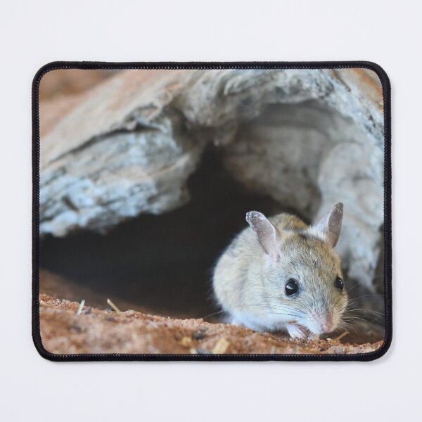Item preview, Spinifex Hopping Mouse designed and sold by notjustamwac.
