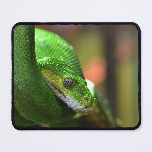 Item preview, Green Tree Python designed and sold by notjustamwac.