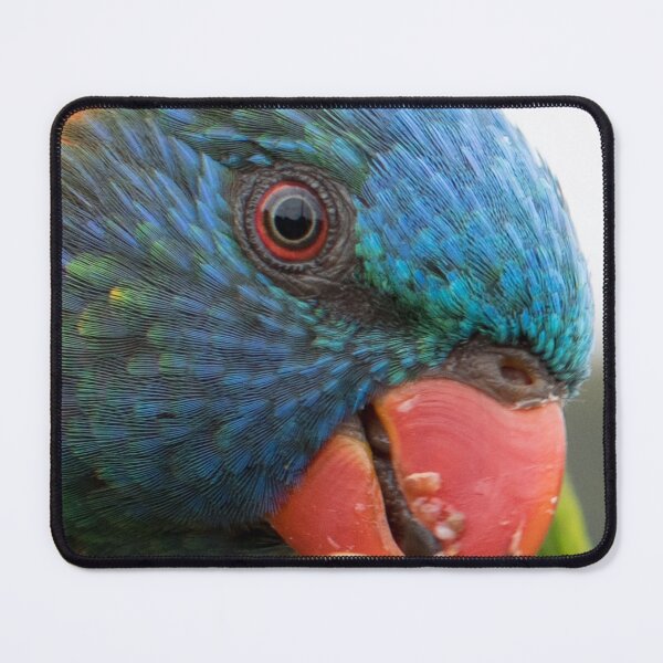 Item preview, Rainbow Lorikeet designed and sold by notjustamwac.