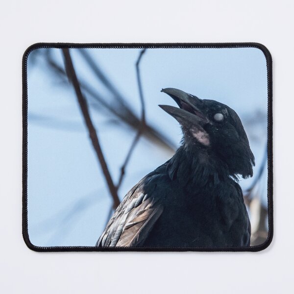 Item preview, Creepy Raven designed and sold by notjustamwac.