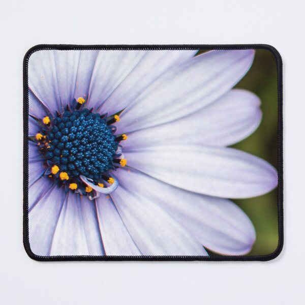 Item preview, Blurple daisy designed and sold by notjustamwac.