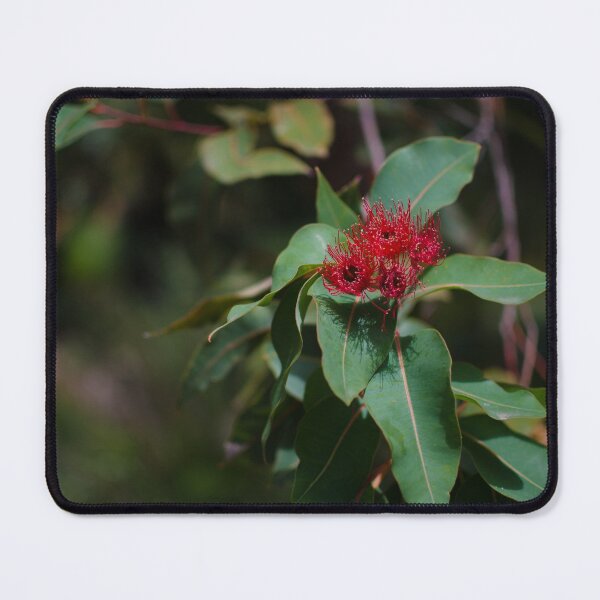 Item preview, Red Gum blossom designed and sold by notjustamwac.