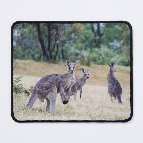 Item preview, Kangaroo Trio designed and sold by notjustamwac.