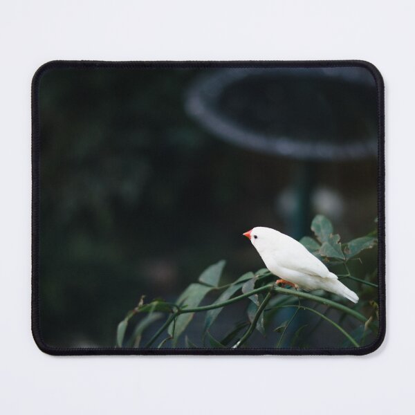 Item preview, White Zebra Finch designed and sold by notjustamwac.
