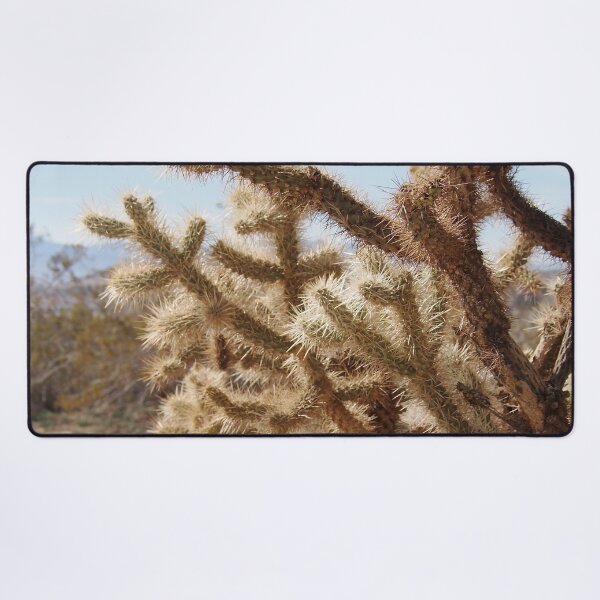 Item preview, Cholla Cactus, Lancaster, California designed and sold by Douglas E. Welch Design and Photography.