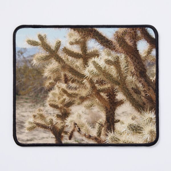 Item preview, Cholla Cactus, Lancaster, California designed and sold by Douglas E. Welch Design and Photography.