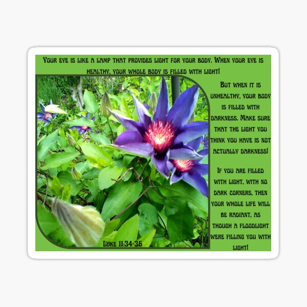 Ultraviolet Clematis Filled With Light Luke 11:34-36 Reminder Sticker