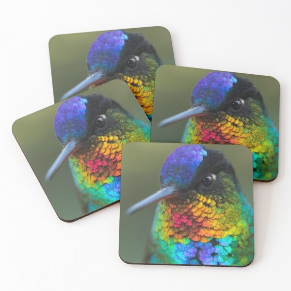 Item preview, Fiery Throated Hummingbird designed and sold by Maddie4Real.