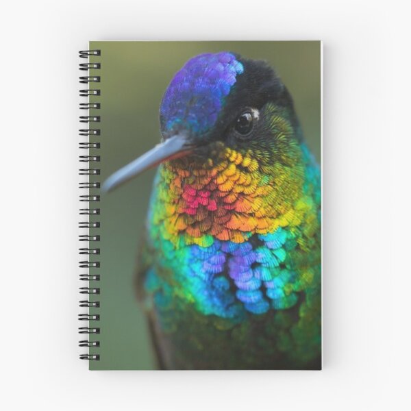 Item preview, Fiery Throated Hummingbird designed and sold by Maddie4Real.