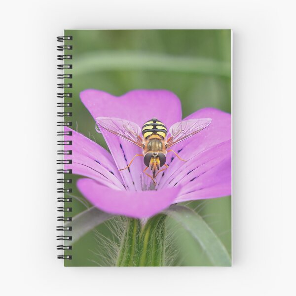 Item preview, Hoverfly on Pink flower designed and sold by relayer51.