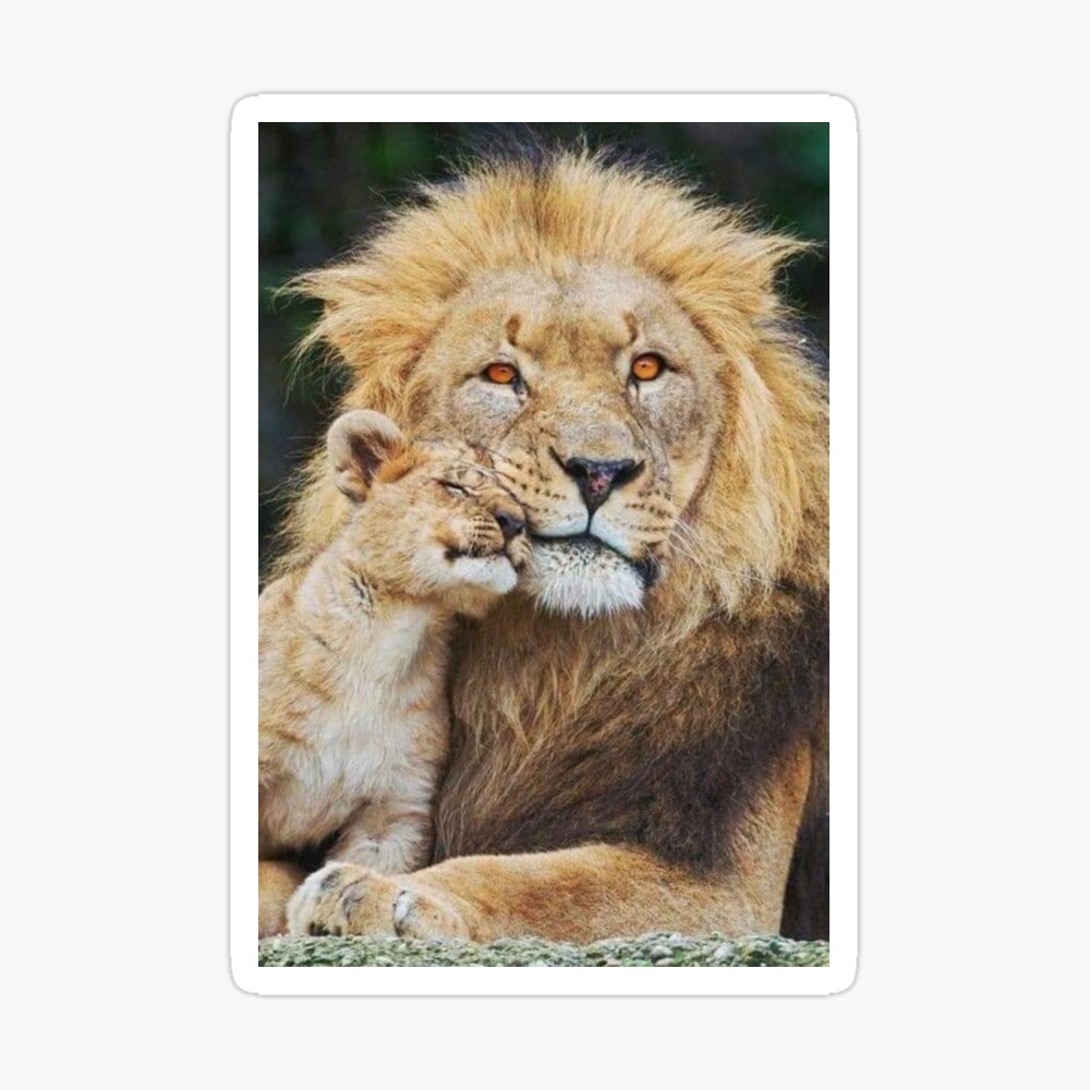 Daddy and Me Lion and Cub or Cubs Matching Father and Child Shirt