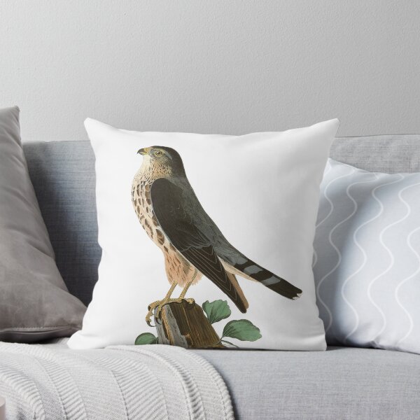 Item preview, Le Petit Caporal - John James Audubon  designed and sold by billythekidtees.