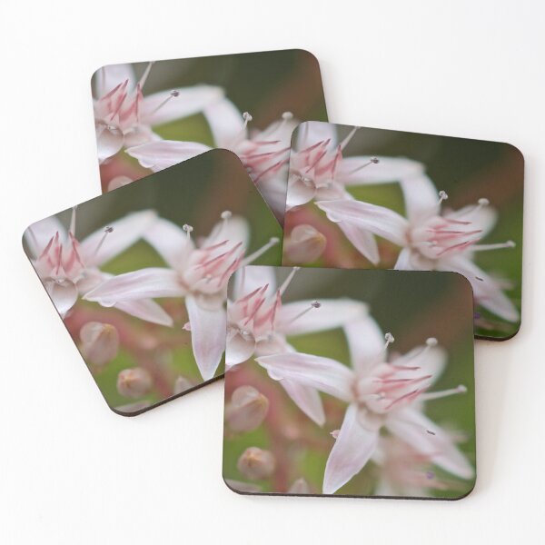Item preview, Orchids  designed and sold by D-GaP.