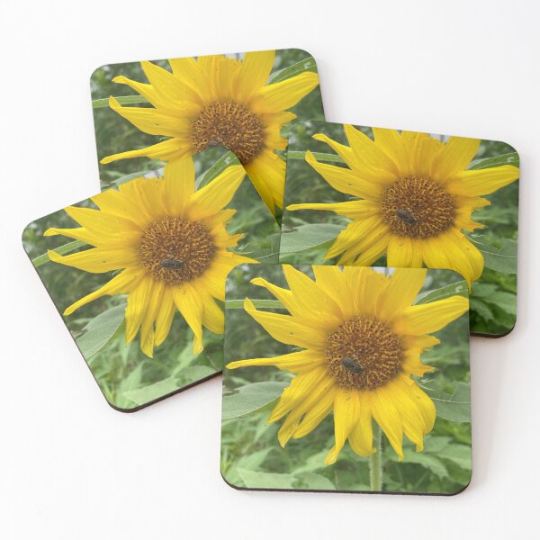 Item preview, Ragged Beauty  designed and sold by Amanda1775.