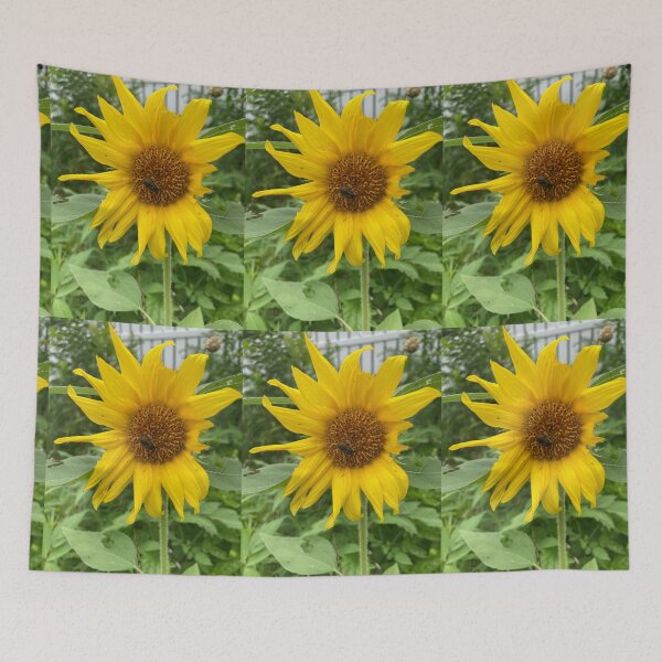 Item preview, Ragged Beauty  designed and sold by Amanda1775.