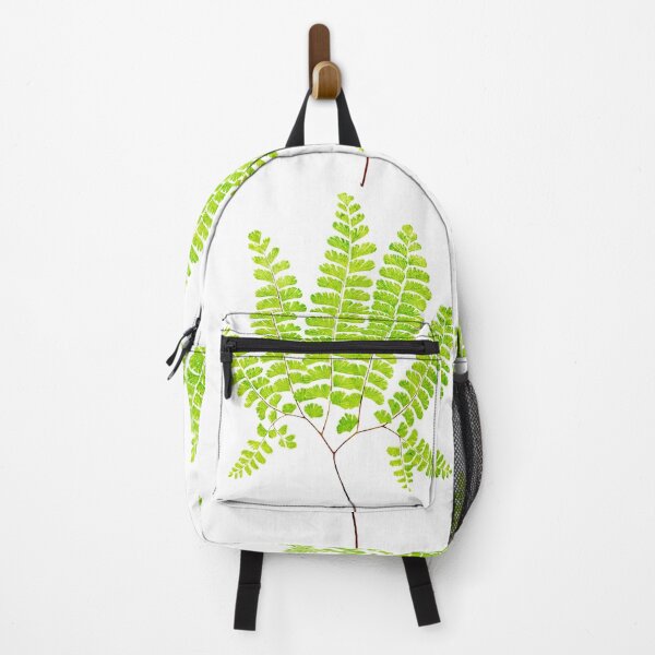 Item preview, Northern maidenhair fern botanical illustration designed and sold by chimakingthings.