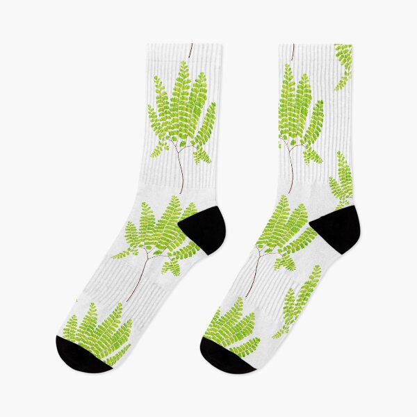 Item preview, Northern maidenhair fern botanical illustration designed and sold by chimakingthings.