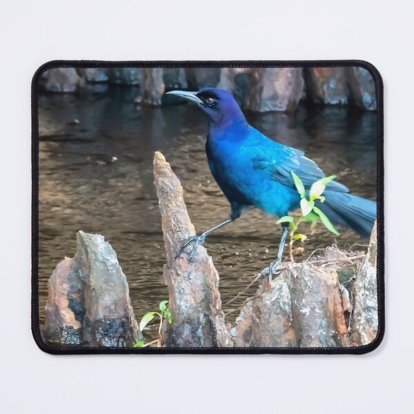 Item preview, Precarious Grackle designed and sold by Jeffrey Mask.