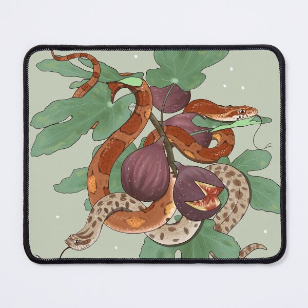 Item preview, Corn Snake and Hognose Snake with Figs designed and sold by Paige Penrose.
