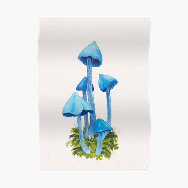 Magic Mushroom original watercolor art Poster