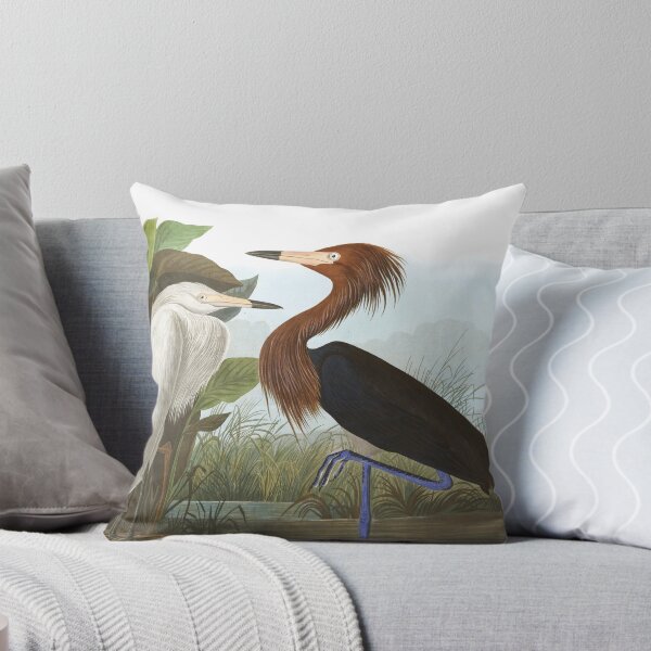 Item preview,  Reddish Egret - John James Audubon  designed and sold by billythekidtees.