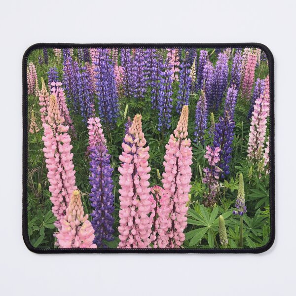 Item preview, Lavender fields  designed and sold by Kashisartstop98.
