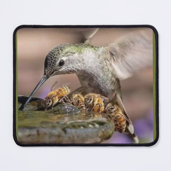 Item preview, Hummingbird and Honey Bees Sharing a Drink designed and sold by Maddie4Real.