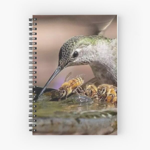 Item preview, Hummingbird and Honey Bees Sharing a Drink designed and sold by Maddie4Real.