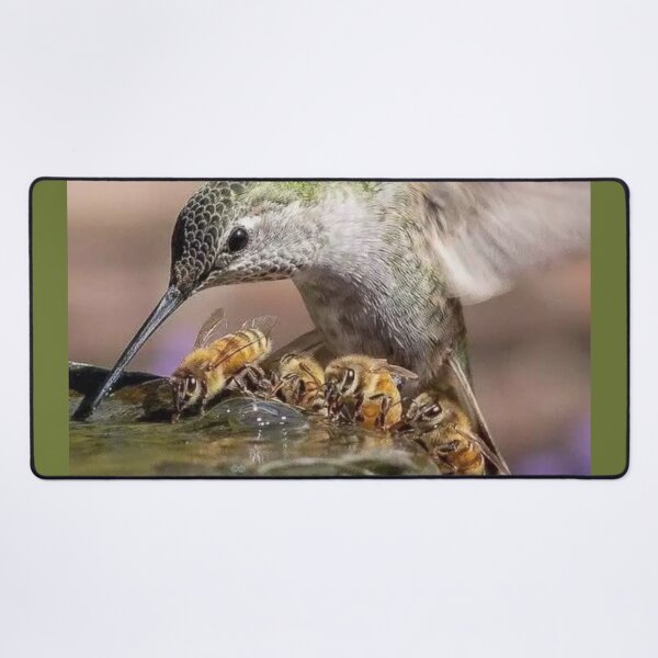 Item preview, Hummingbird and Honey Bees Sharing a Drink designed and sold by Maddie4Real.