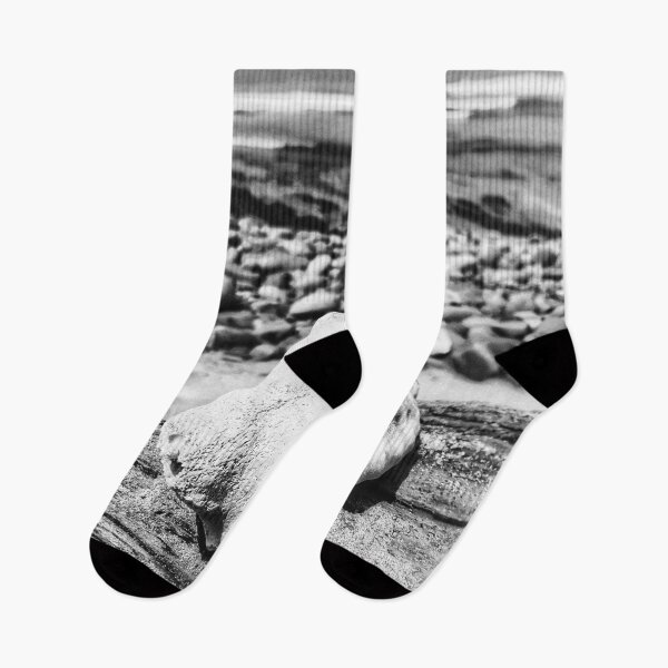Item preview, Seashell on Log at Sunrise on Sea Beach in Black and White designed and sold by Beachy.