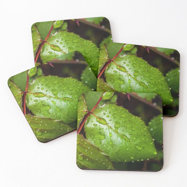 Item preview, Close up of crisp green rose leaf with water droplets after the rain designed and sold by James-Cole.