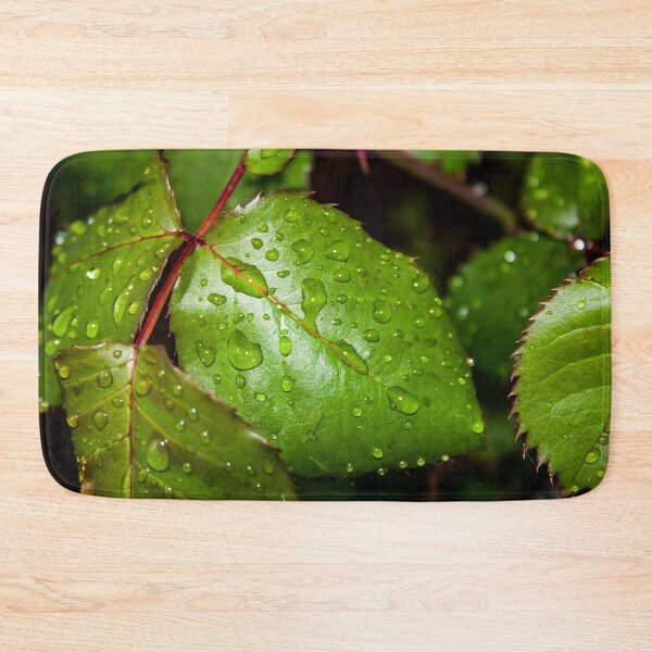 Item preview, Close up of crisp green rose leaf with water droplets after the rain designed and sold by James-Cole.