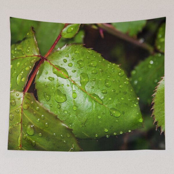 Item preview, Close up of crisp green rose leaf with water droplets after the rain designed and sold by James-Cole.