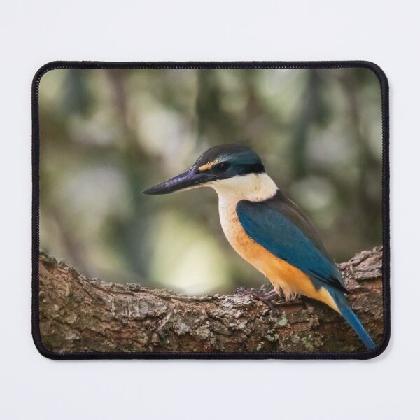 Item preview, Kingfisher profile designed and sold by DVart-nz.
