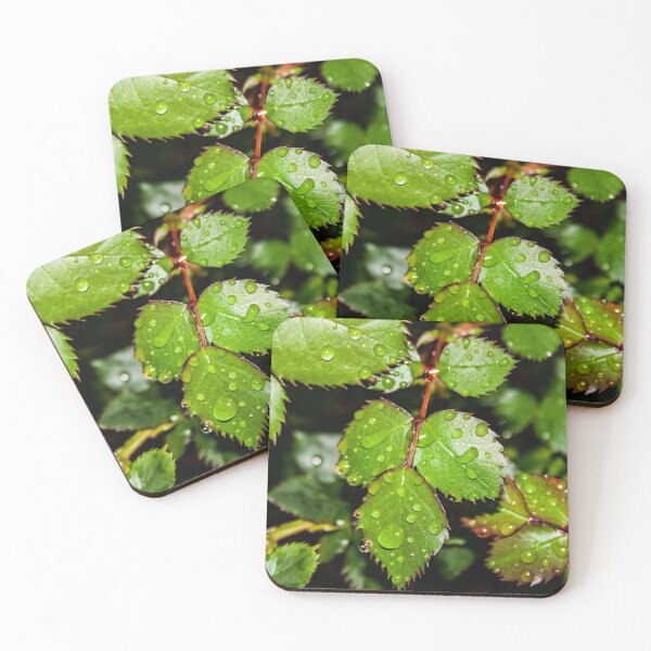 Item preview, Crisp green rose leaves with water droplets after the rain designed and sold by James-Cole.