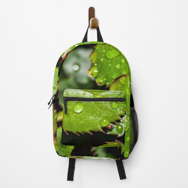 Item preview, Crisp green rose leaves with water droplets after the rain designed and sold by James-Cole.