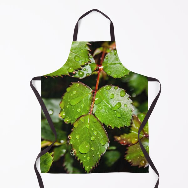 Item preview, Crisp green rose leaves with water droplets after the rain designed and sold by James-Cole.