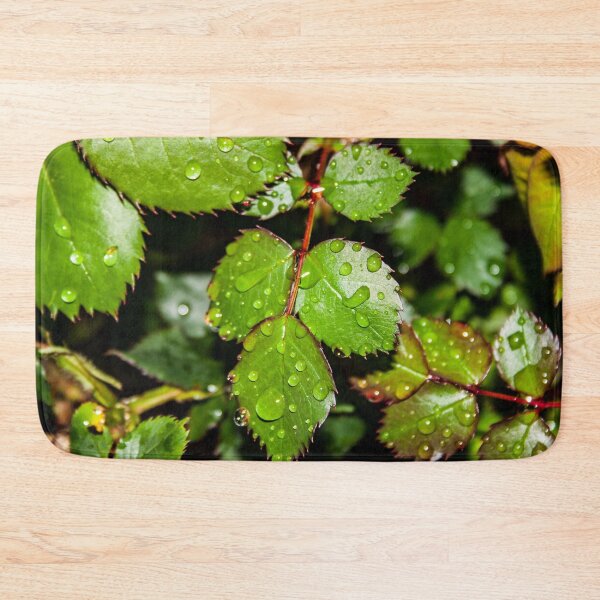 Item preview, Crisp green rose leaves with water droplets after the rain designed and sold by James-Cole.