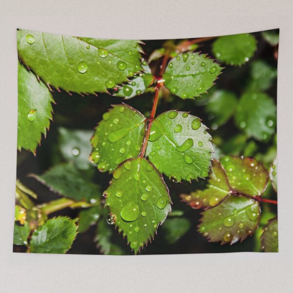 Item preview, Crisp green rose leaves with water droplets after the rain designed and sold by James-Cole.