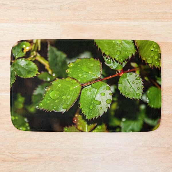 Item preview, Water droplets on crisp green rose leaves after the rain designed and sold by James-Cole.