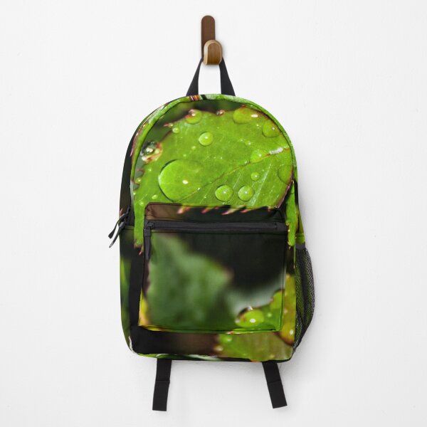 Item preview, Water droplets on crisp green rose leaves after the rain designed and sold by James-Cole.