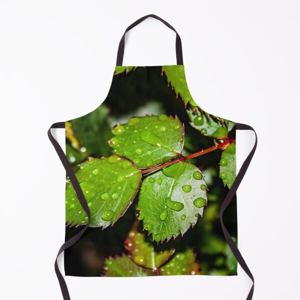 Item preview, Water droplets on crisp green rose leaves after the rain designed and sold by James-Cole.