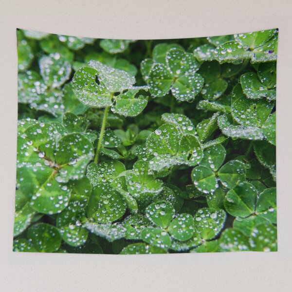 Item preview, Dew droplets of water covering green clover leaves designed and sold by James-Cole.