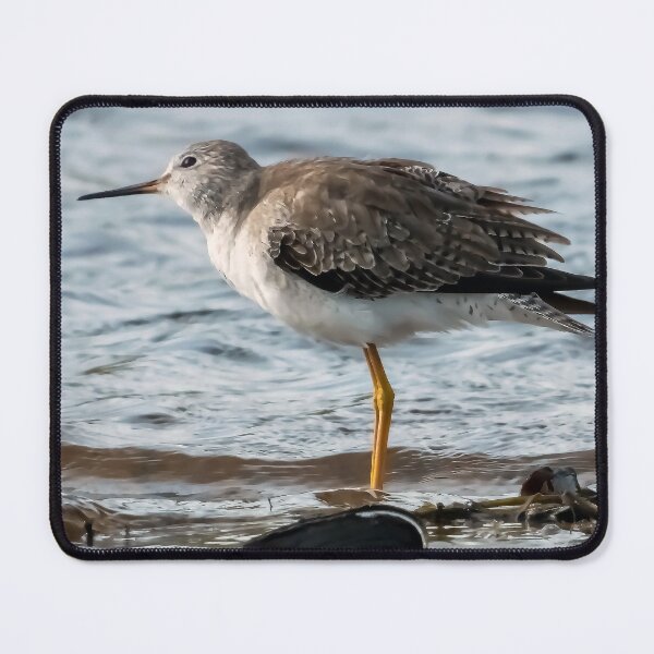 Item preview, Cautious Sandpiper designed and sold by Jeffrey Mask.