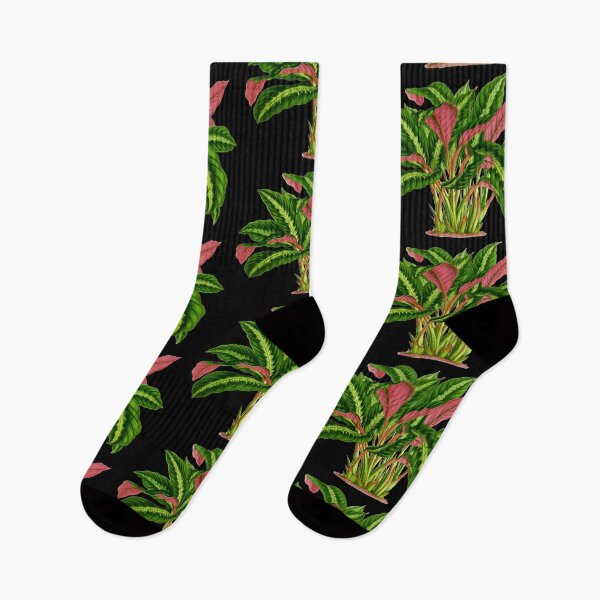 Item preview, Calathea Warscewiczii botanical illustration designed and sold by chimakingthings.
