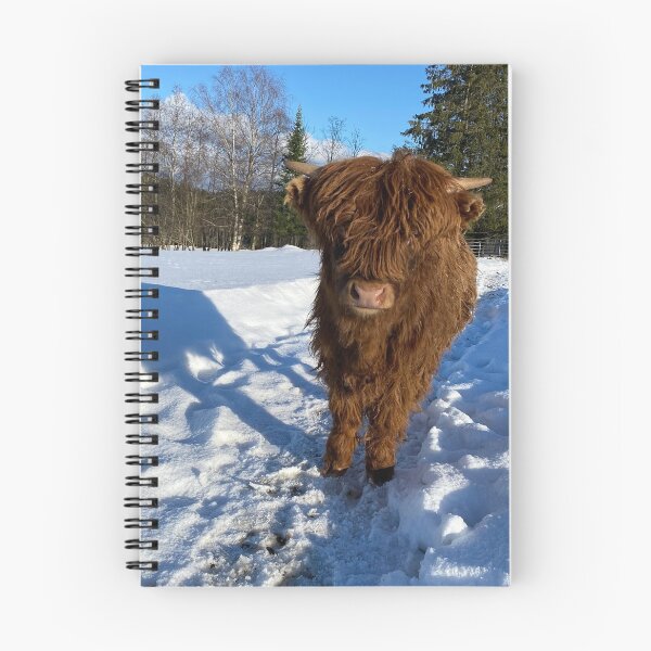 Item preview, Scottish Highland Cattle Calf in snow 2770 designed and sold by SaarelaHighland.